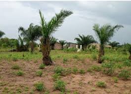 Terrain à vendre Bénin